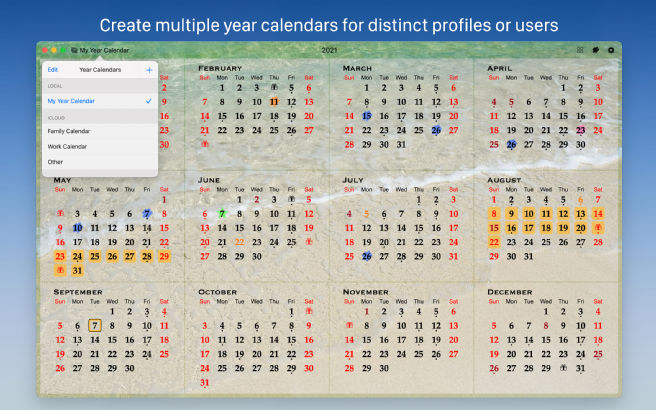 All-in-One Year Calendar screenshot